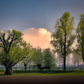 Oudendijk - Dordrecht sur Bert Seinstra