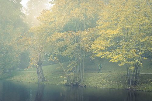 Onnopvallend in het Noorderplantsoen