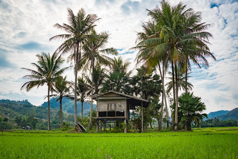 Slaaphut in het rijstveld, Laos van Rietje Bulthuis
