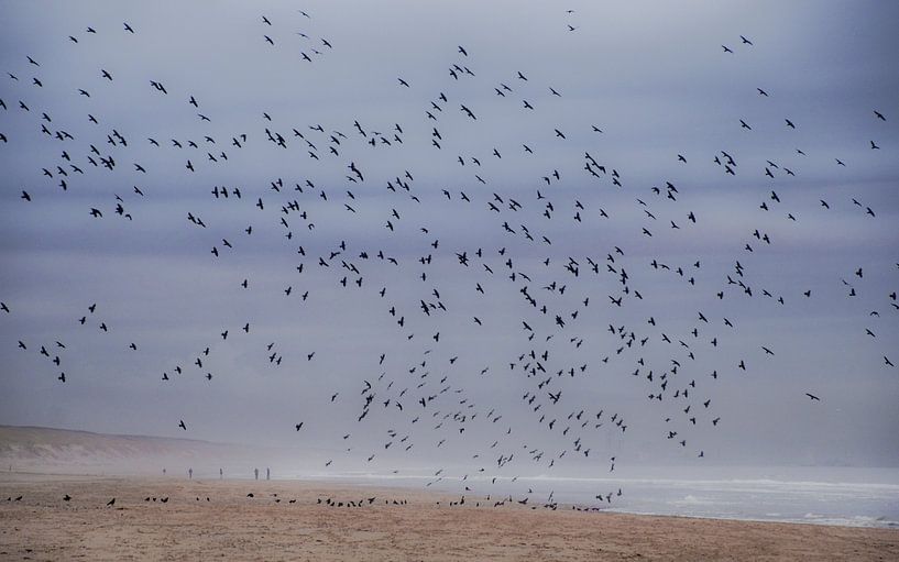 Art of Nature by Dirk van Egmond