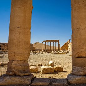 Palmyra in Syrië sur René Holtslag