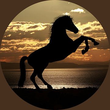 Prancing horse by @Unique