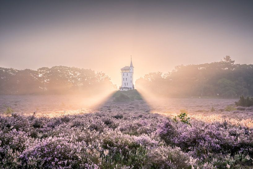 Palthe tower on the Sprengenberg by Els Hunink