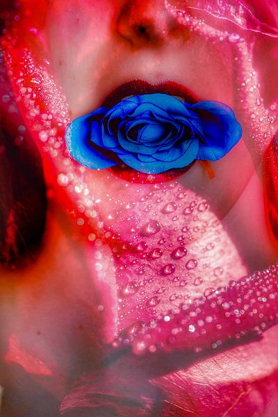 Frau mit Rot und Blau von Truckpowerr