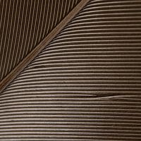 Le jeu des lignes dans une plume