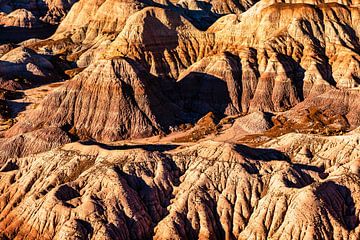 Panorama hills in the colorful painted desert Petrified forest national park in Arizona USA by Dieter Walther