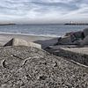 Scheveningen haven van Marc Arts