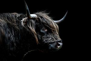 Highlander in schönem Licht mit mystischer Ausstrahlung