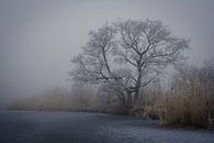 Winter landschap van Thijs Friederich thumbnail