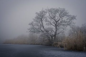 Winter landschap van Thijs Friederich