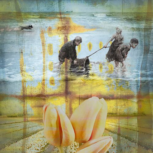 Spelen in de branding. Border collie. Kinderen. Bollenstreek.