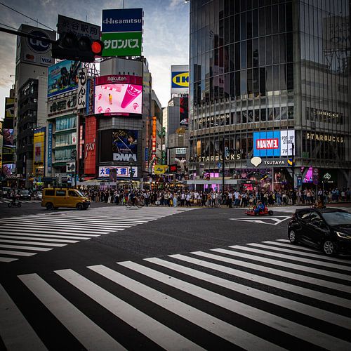 Go-Kart Fahren in Shibuya von Oliver März