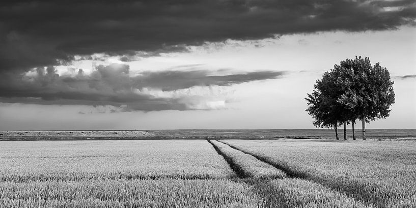 Johannes Kerkhoven Polder in Black and White by Henk Meijer Photography