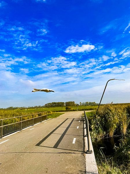 Laagvlieger van Truckpowerr