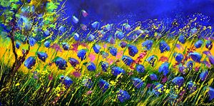 Blue poppies 105