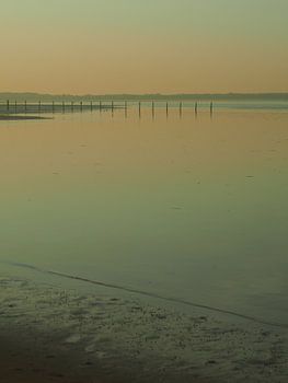 Sonnenaufgang auf der Maasvlakte, die Ruhe vor dem Sturm