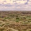 Duinen van de Boschplaat van Roel Ovinge