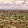 Duinen van de Boschplaat by Roel Ovinge