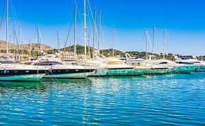 Yachts de luxe ancrés dans une marina méditerranéenne sur l'île de Majorque, en Espagne.