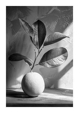 Minimalist composition with single lemon by Felix Brönnimann