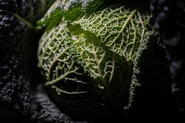 Der Grünkohl von Marjolijn van den Berg