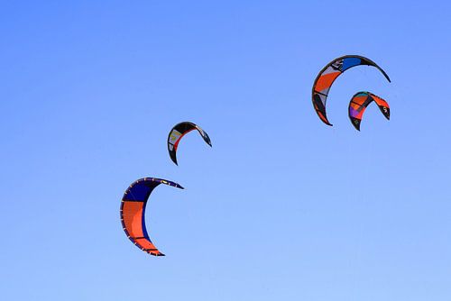 kites  in de lucht