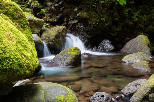 Petite chute d'eau