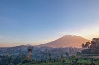 Schöner Sonnenaufgang über den Jatiluwih Reisterrassen in Bali, Indonesien. von Tjeerd Kruse Miniaturansicht
