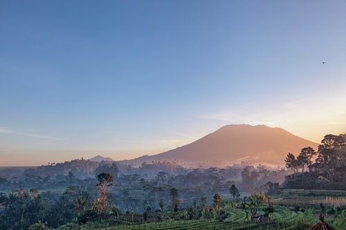 Mooie zonsopgang boven de Jatiluwih-rijstterrassen in Bali, Indonesië