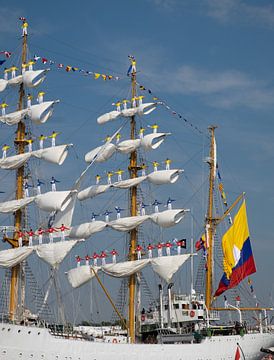 Sail 2015 Colombia van Lieven Lema