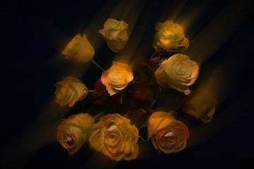 Rose by Alida van Luijn-Toet