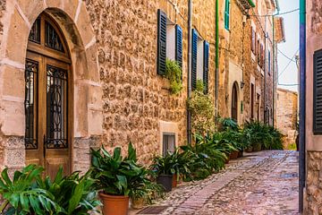 Malerisches Dorf Fornalutx auf Mallorca, Spanien von Alex Winter