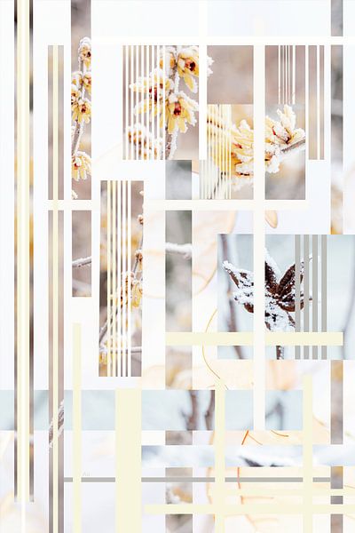 Gold.png von Pelin Atilla