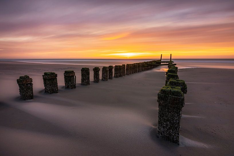 Saudade by Thom Brouwer