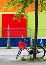 Fahrrad gegen Baum mit rot, grün, orange und blau in Amsterdam von Paul van Putten Miniaturansicht