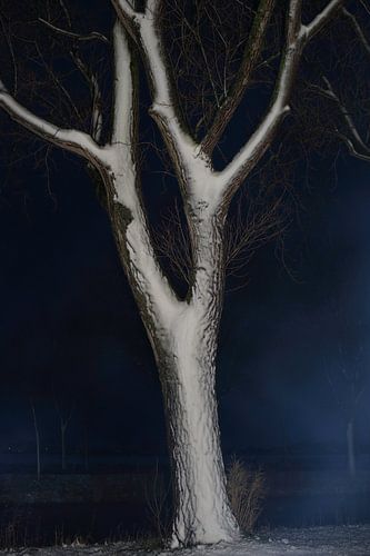 koude vroege ochtend