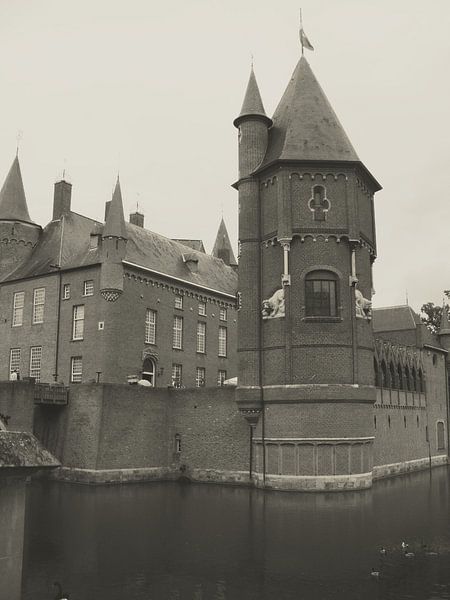 Kasteel by Desiree Barents