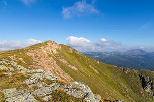 To the Top by Coen Weesjes