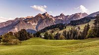 Alpine meadow in Tschengla