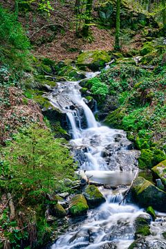 Un petit ruisseau dans la Forêt-Noire sur Photo Art Thomas Klee