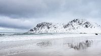Strand Lofoten