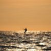 Kitesurfer bij zonsondergang van Michel Sjollema