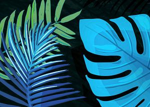 TROPICAL LEAVES & BLACK no3c1
