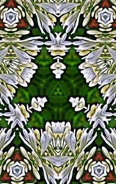 een decoratieve florale digitale caleidoscoop van Werner Lehmann