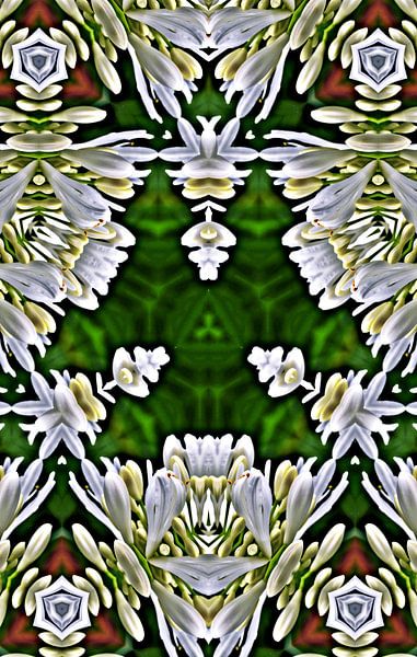 a decorative floral digital kaleidoscope by Werner Lehmann