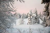 Winter wonderland van Barbara Koppe thumbnail