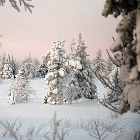 Winter wonderland van Barbara Koppe
