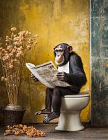Singe sur les toilettes