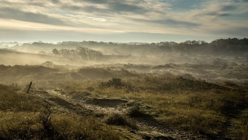 Vormittag im Naturschutzgebiet Berkheide von Dirk van Egmond