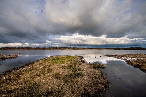 Skiere Goes vogelobservatiehut Friesland